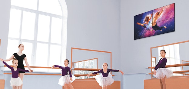 HOSPITALITY - Ballet Performance - X-line hospitality ballet performance x line