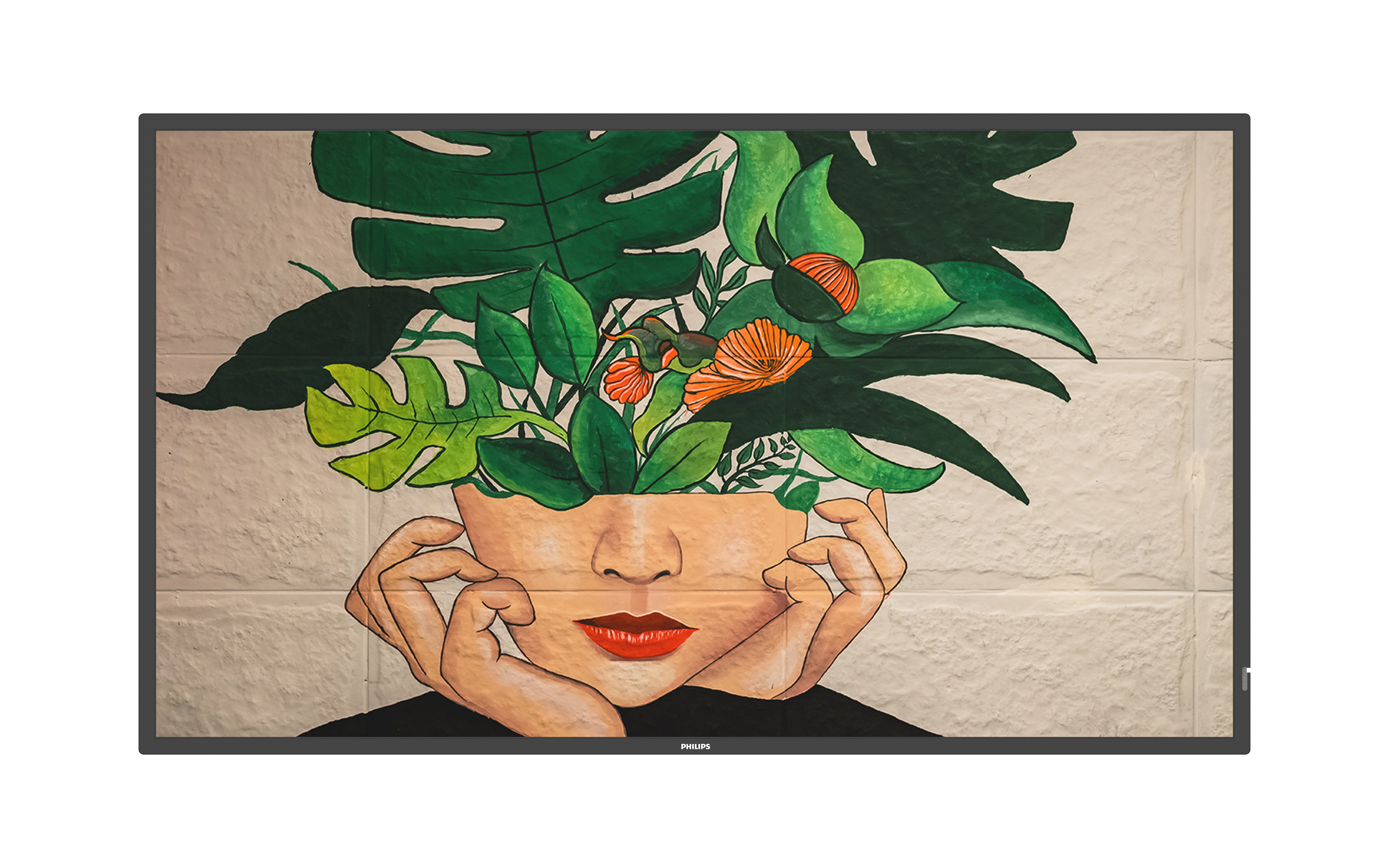 D-43inch-image6.png image