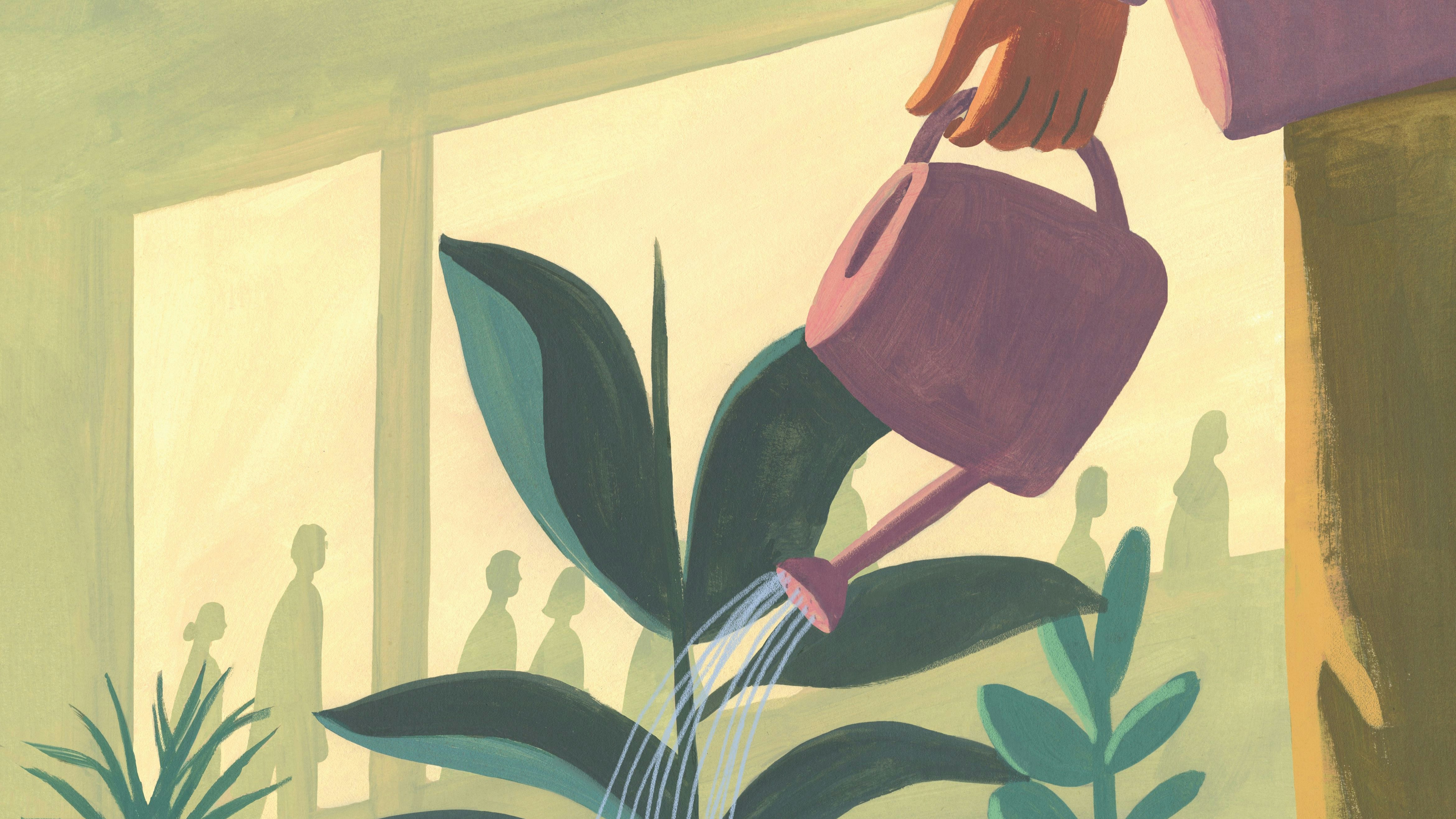 Drawing of a person holding a mauve watering can and watering plants in front of a window | Meridian Drawing of a person holding a mauve watering can and watering plants in front of a window | Meridian