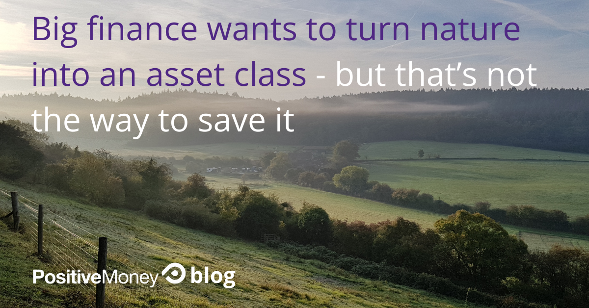 Big finance wants to turn nature into an asset class &#8211; but that’s not the way to save it