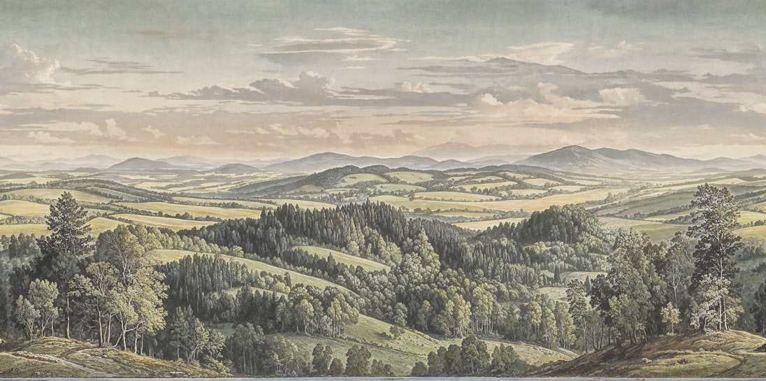 Cohen Image 2