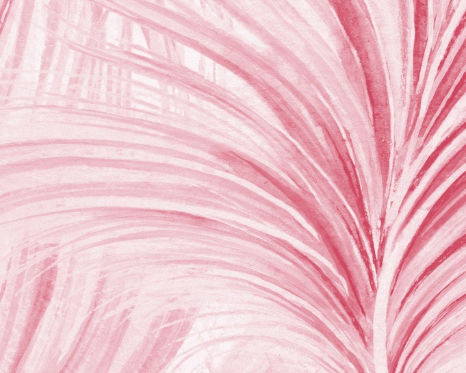 Blush Image 4